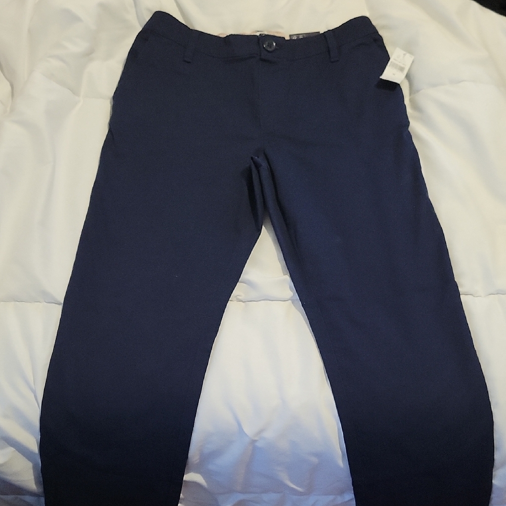 GAP Blue Casual Pants Straight Leg